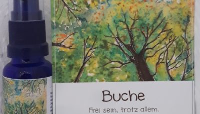 Hauch der BUCHE - Geist der Bäume AURA Spray 20 ml