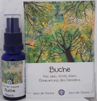 Hauch der BUCHE - Geist der Bäume AURA Spray 20 ml