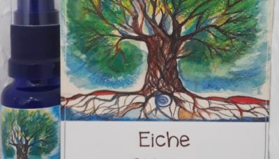 Hauch der EICHE - Geist der Bäume AURA Spray 20 ml