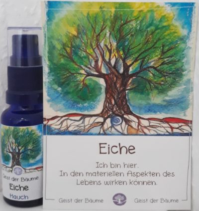 Hauch der EICHE - Geist der Bäume AURA Spray 20 ml