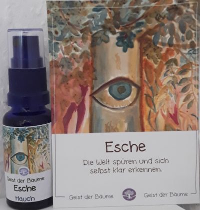 Hauch der ESCHE - Geist der Bäume AURA Spray 20 ml