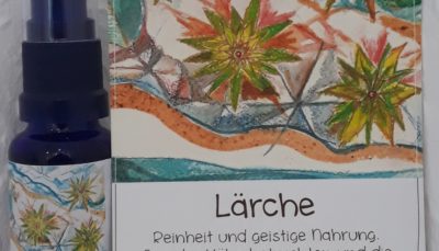 Hauch der LÄRCHE - Geist der Bäume AURA Spray 20 ml