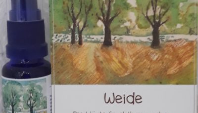 Hauch der WEIDE - Geist der Bäume AURA Spray 20 ml