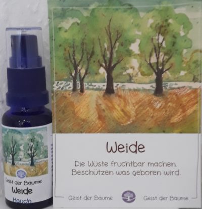 Hauch der WEIDE - Geist der Bäume AURA Spray 20 ml
