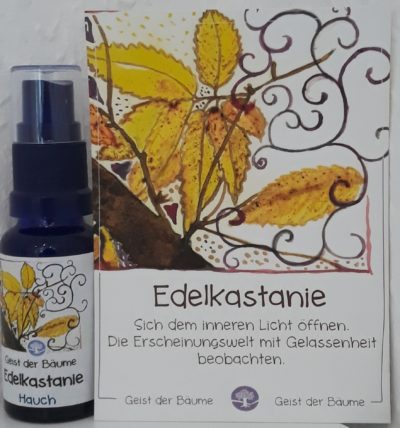 Hauch der EDELKASTANIE - Geist der Bäume AURA Spray 20 ml