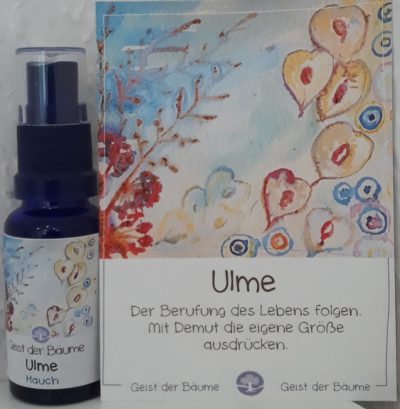 Hauch der ULME - Geist der Bäume AURA Spray 20 ml