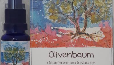 Hauch des OLIVENBAUMES - Geist der Bäume AURA Spray 20 ml