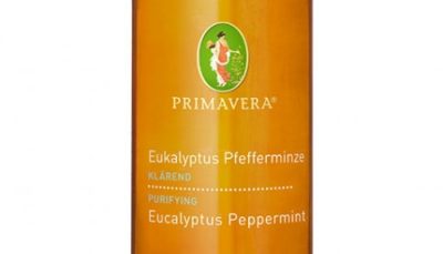 Aroma Sauna - Bio Aufgusskonzentrat - Eukalyptus Pfefferminze 100 ml