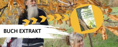 NEU!! Begegnungen mit dem Geist der Bäume - Botschaften aus dem Wald - Buch von: Bösch Hubert & Satanassi Lucilla