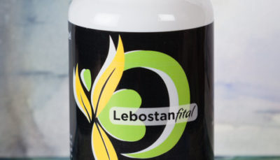 SYVITA Nahrungsergänzung Lebostanfital - 60 Kapseln (31 g)