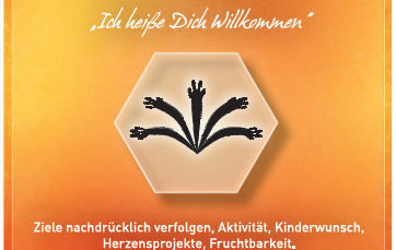 Engelalm  Schichtblick Orakelkarten – 50 Blatt mit Anleitung von Claudia und Walter Lämmermeyer
