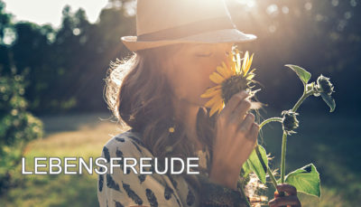 SYVITA Nahrungsergänzung MINDFLOWfital 60 Kapseln (38 g)