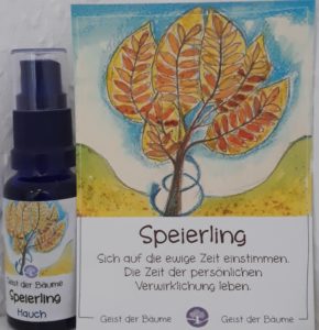 NEU!! Hauch des SPEIERLINGS - Geist der Bäume AURA Spray 20 ml
