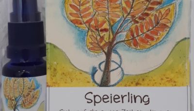 NEU!! Hauch des SPEIERLINGS - Geist der Bäume AURA Spray 20 ml