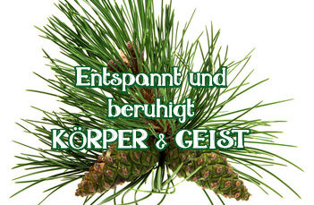 Hauch der ZIRBE – Geist der Bäume AURA Spray 20 ml